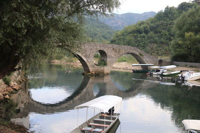 Arch bridge over lake against trees