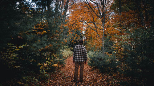 Rear view of person standing by trees in forest during autumn