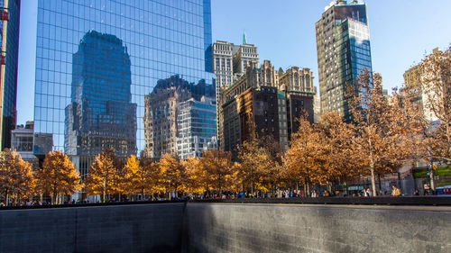 Trees in city during autumn