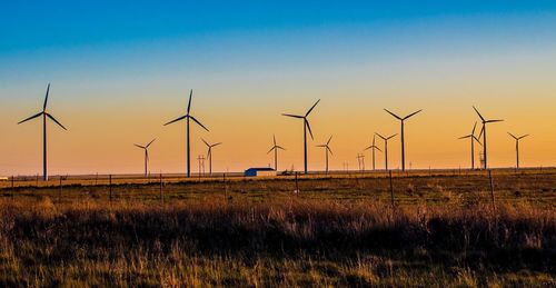 Windmills on field against sky during sunset