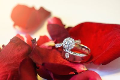 Close-up of wedding rings on red rose