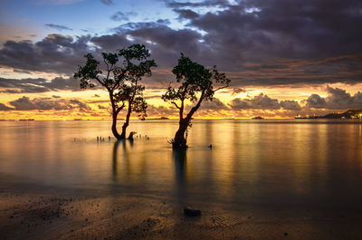 Silhouette tree by sea against sky during sunset