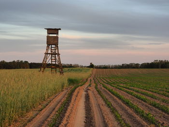 Scenic view of agricultural field against sky during sunset