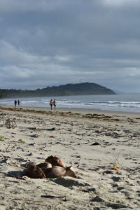 People walking at beach against sky