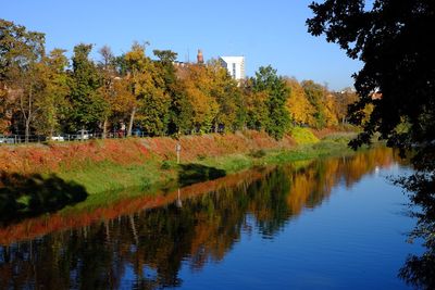 Scenic view of lake by trees during autumn