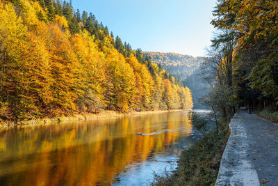 Scenic view of lake in forest during autumn