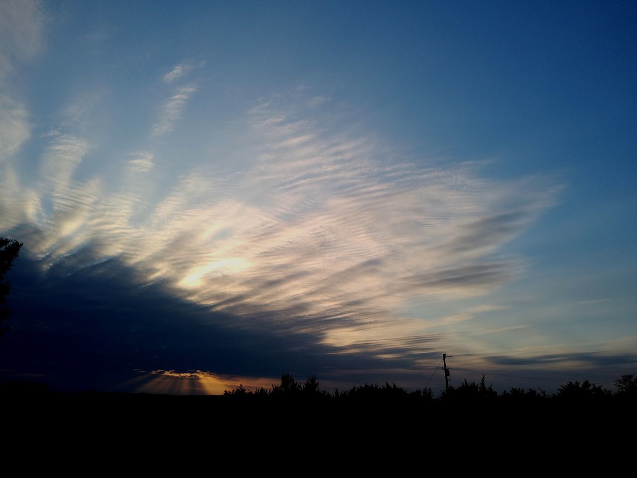 SILHOUETTE TREES AGAINST SKY DURING SUNSET