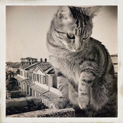 View of built structure