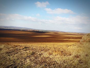 Scenic view of field against cloudy sky