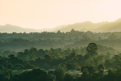 High angle view of trees on field in foggy weather during sunrise