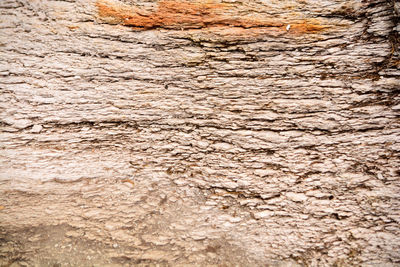 Full frame shot of rock on wall