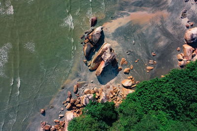 High angle view of ducks swimming on lake