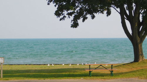 Scenic view of sea against clear sky
