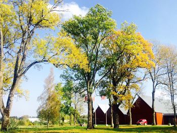 Trees against sky during autumn