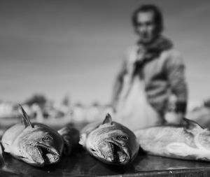 Close-up of fish on table