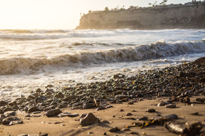 Scenic view of beach