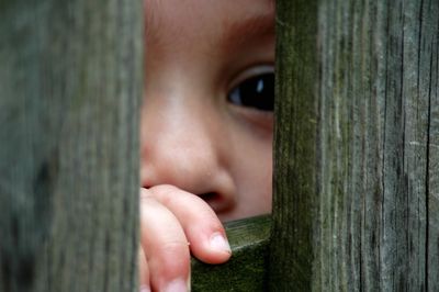 Close-up portrait of boy peeking through tree trunk