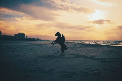 Rear view of man standing at beach against sky during sunset