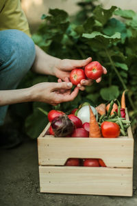 Midsection of man picking fruit