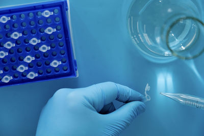 Cropped hand of scientist working in laboratory