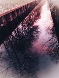 High angle view of bare trees in water