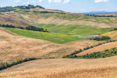 Agricultural panorama of asciano area during harvest time, siena province, tuscany, italy