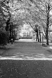 Street amidst trees and buildings in city