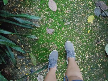 Low section of woman standing on leaves
