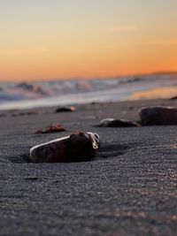 Close-up of stones on beach against sky during sunset