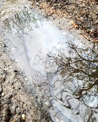 High angle view of wet rocks in winter