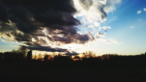 Silhouette trees against sky during sunset