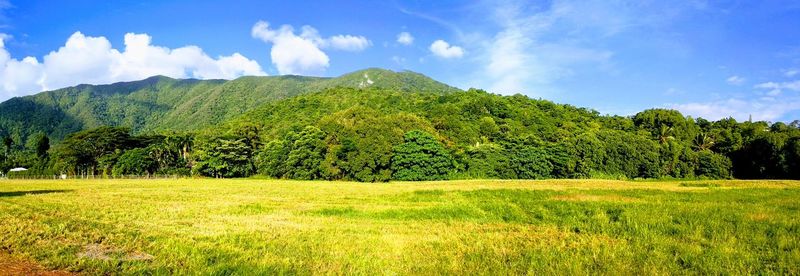 Scenic view of green landscape against sky