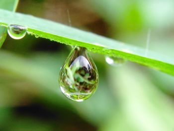 Close-up of water drop on grass