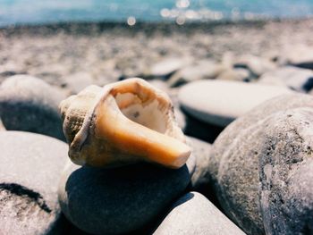 Close-up of pebbles on beach against sea