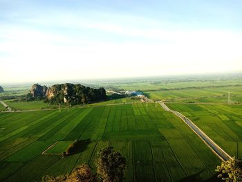 Scenic view of agricultural field against sky