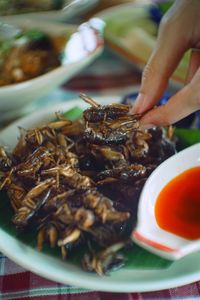 Close-up of hand holding crab