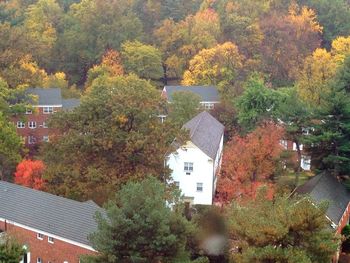 Trees by house during autumn