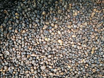 Coffee bean, black coffee in indonesia