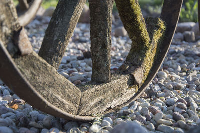 Cropped image of abandoned wheel on stones