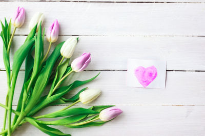 Close-up of pink tulip flowers on table