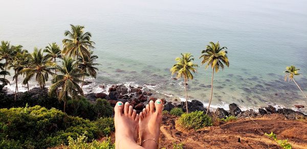 Low section of woman legs on beach