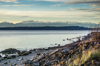 Scenic view of sea against sky