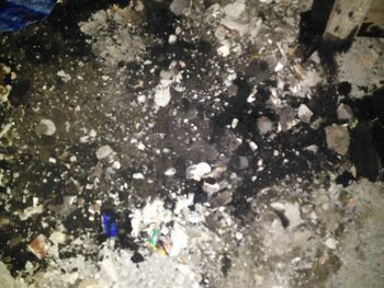 View of trees in winter