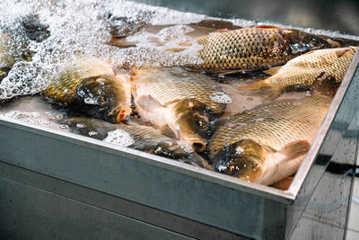 High angle view of fish for sale