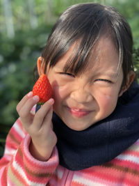 Kid holdings fresh strawberry, picking strawberry fruit farm tour in winter. japan, chiba.