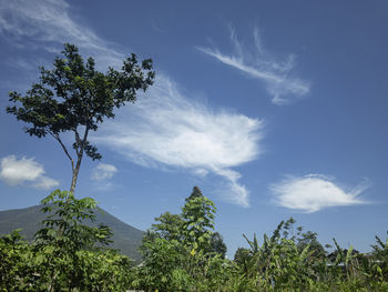 sky
