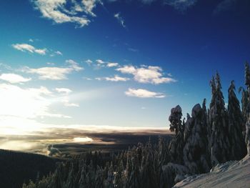 Scenic view of landscape against cloudy sky