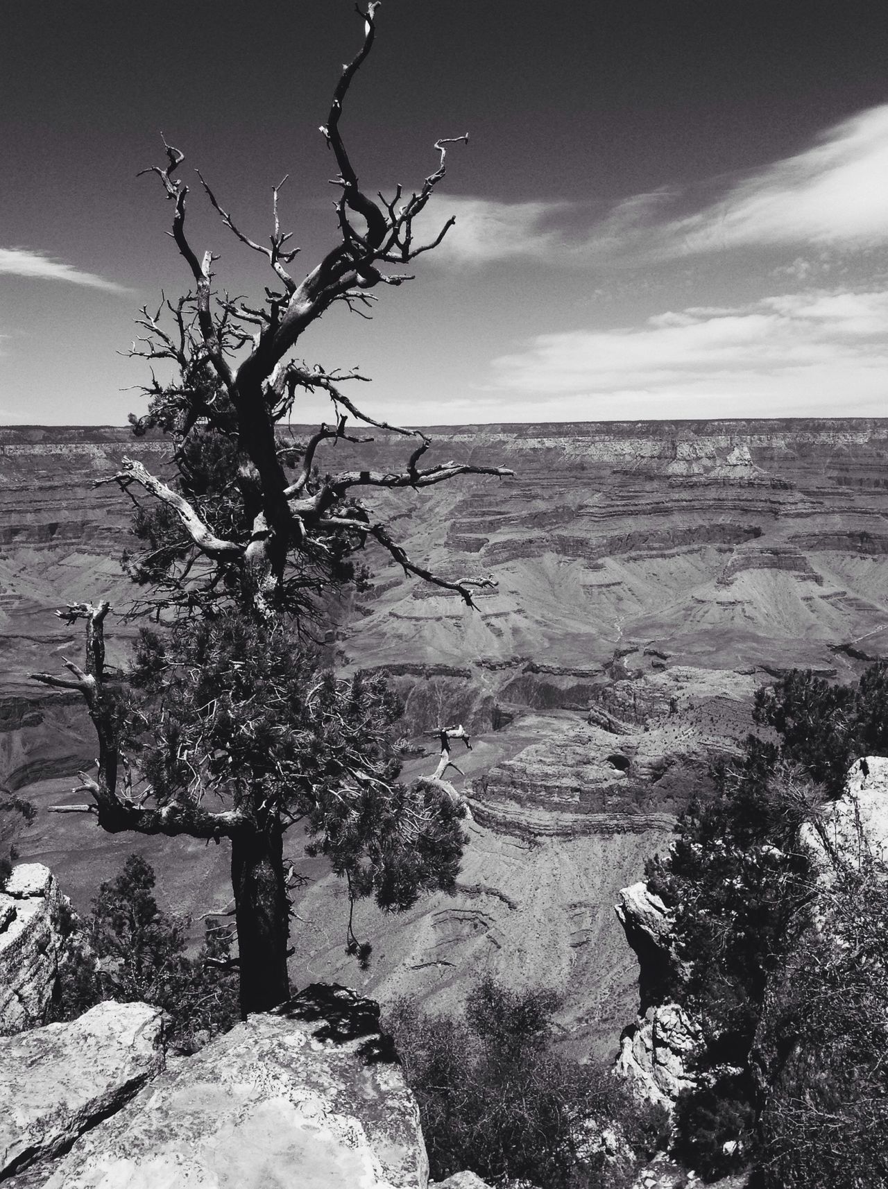 Grand Canyon National Park