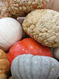 Close-up of food