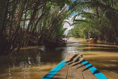 People in boat on palm trees